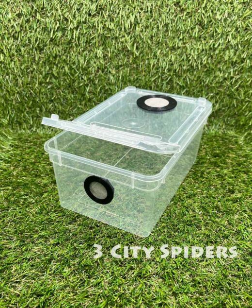 Pojemnik hodowlany 19x12x7,5cm z gotową wentylacją