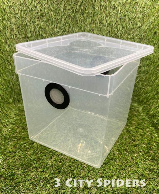 Pojemnik hodowlany 19x19x19cm z gotową wentylacją