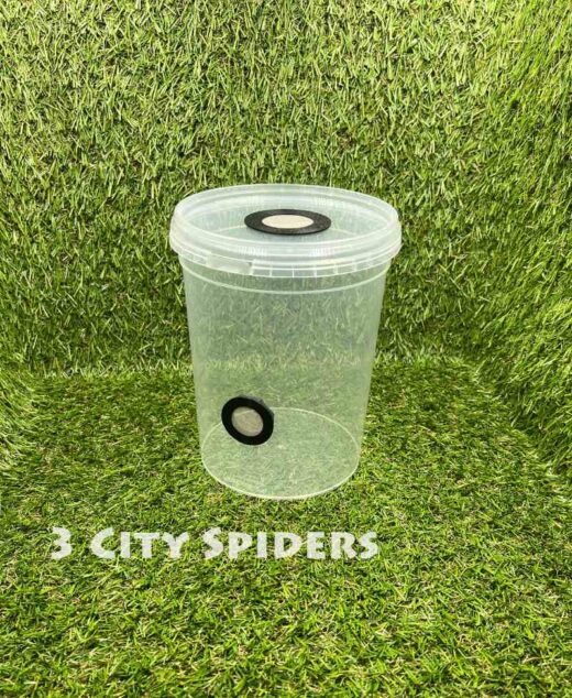 Pojemnik hodowlany Ø13,2x16cm z gotową wentylacją