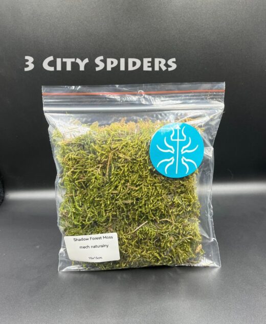 Shadow forest moss 15x15cm