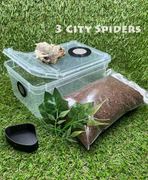 Zestaw startowy medium-1300