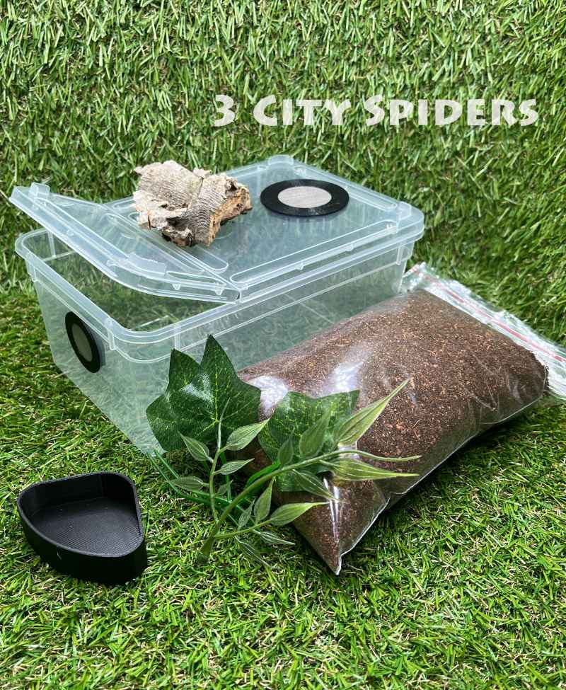 Zestaw startowy medium-1300