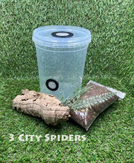 Zestaw startowy medium-1500