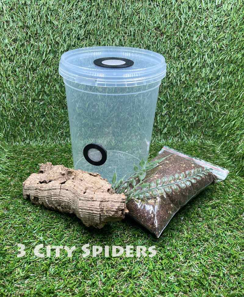 Zestaw startowy medium-1500