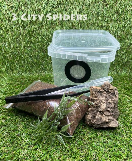 Zestaw startowy mini-1100