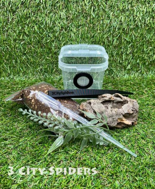 Zestaw startowy mini-280