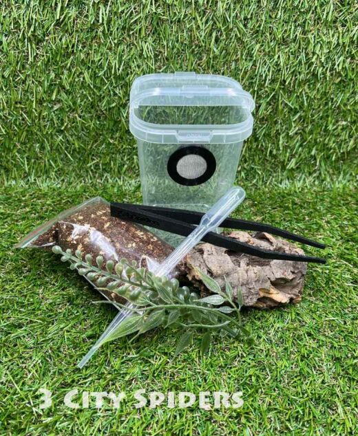 Zestaw startowy mini-425